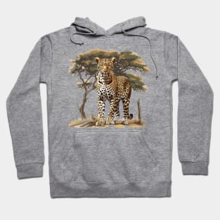 Leopard Design Hoodie